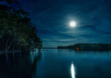 A serene night scene capturing a tranquil lake under a bright moon, surrounded by trees, creating a peaceful atmosphere in this HD nature wallpaper.