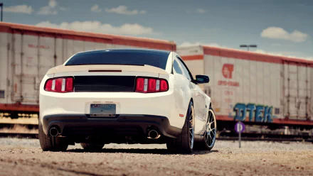 vehicle Ford Mustang Shelby HD Desktop Wallpaper | Background Image