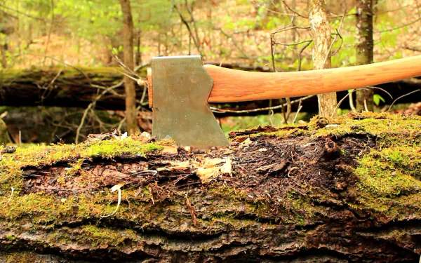 man made Tool HD Desktop Wallpaper | Background Image