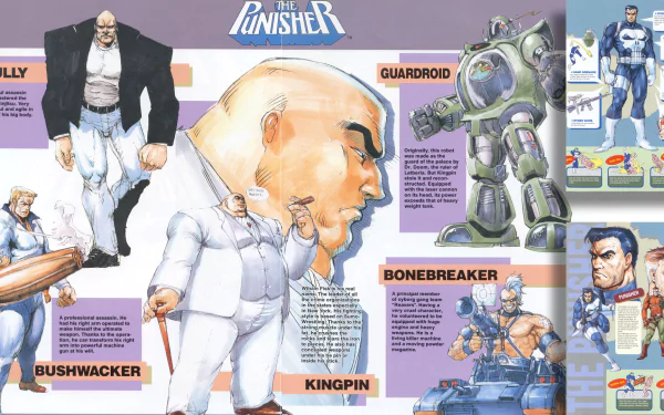 video game The Punisher HD Desktop Wallpaper | Background Image