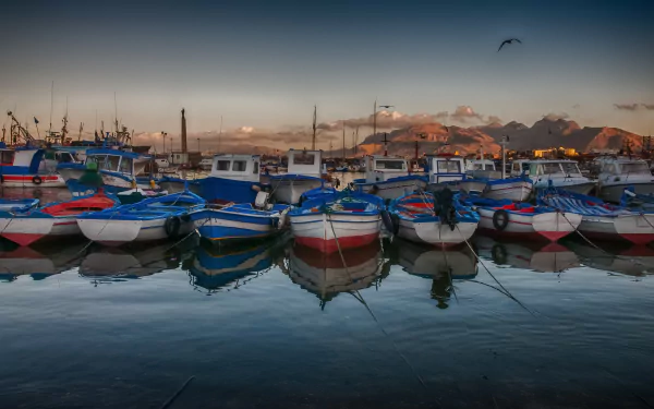 vehicle fishing boat HD Desktop Wallpaper | Background Image