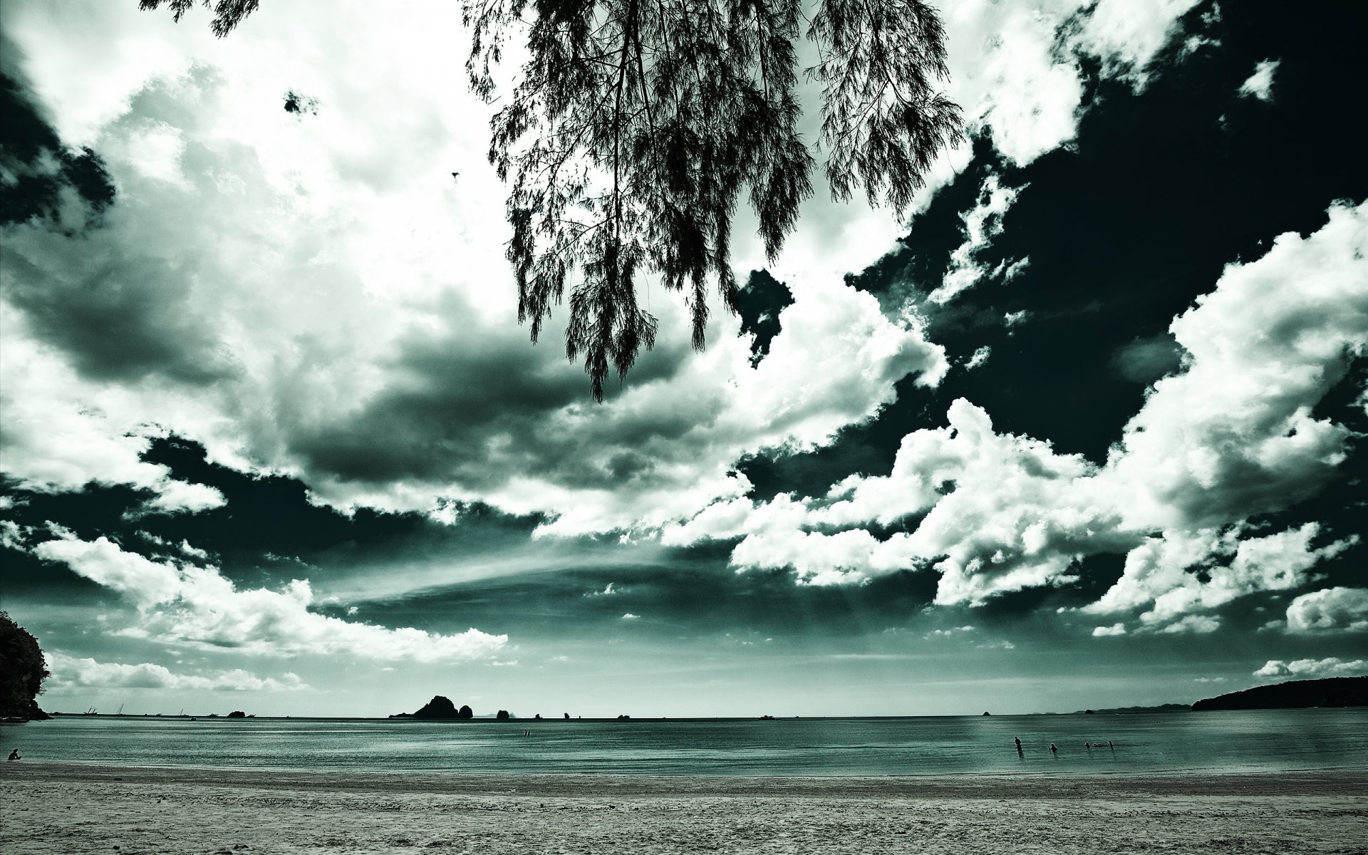2K Quad HD PC desktop wallpaper: nature — wide beach with a field-like shoreline beneath a dramatic, cloud-filled sky.