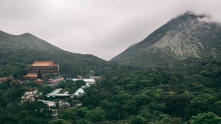 Fog blankets the mountainous landscape of Lantau Island, Hong Kong, featuring the serene Po Lin Monastery nestled among lush greenery.
