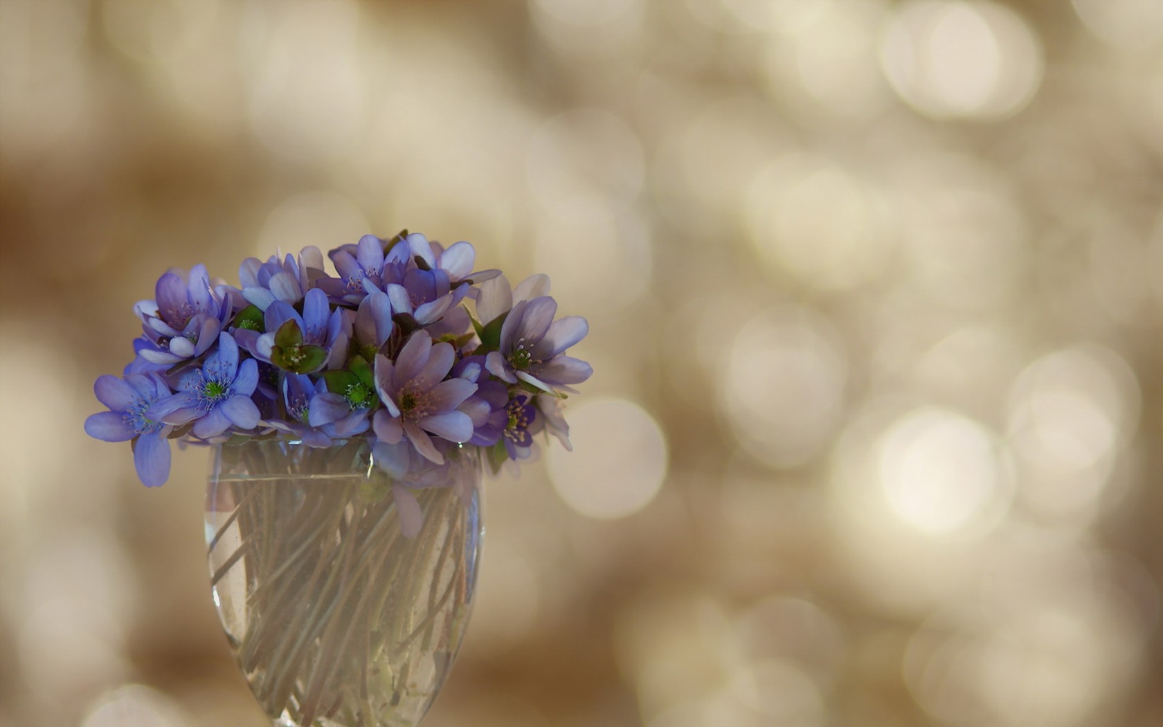 Download Man Made Flower Wallpaper