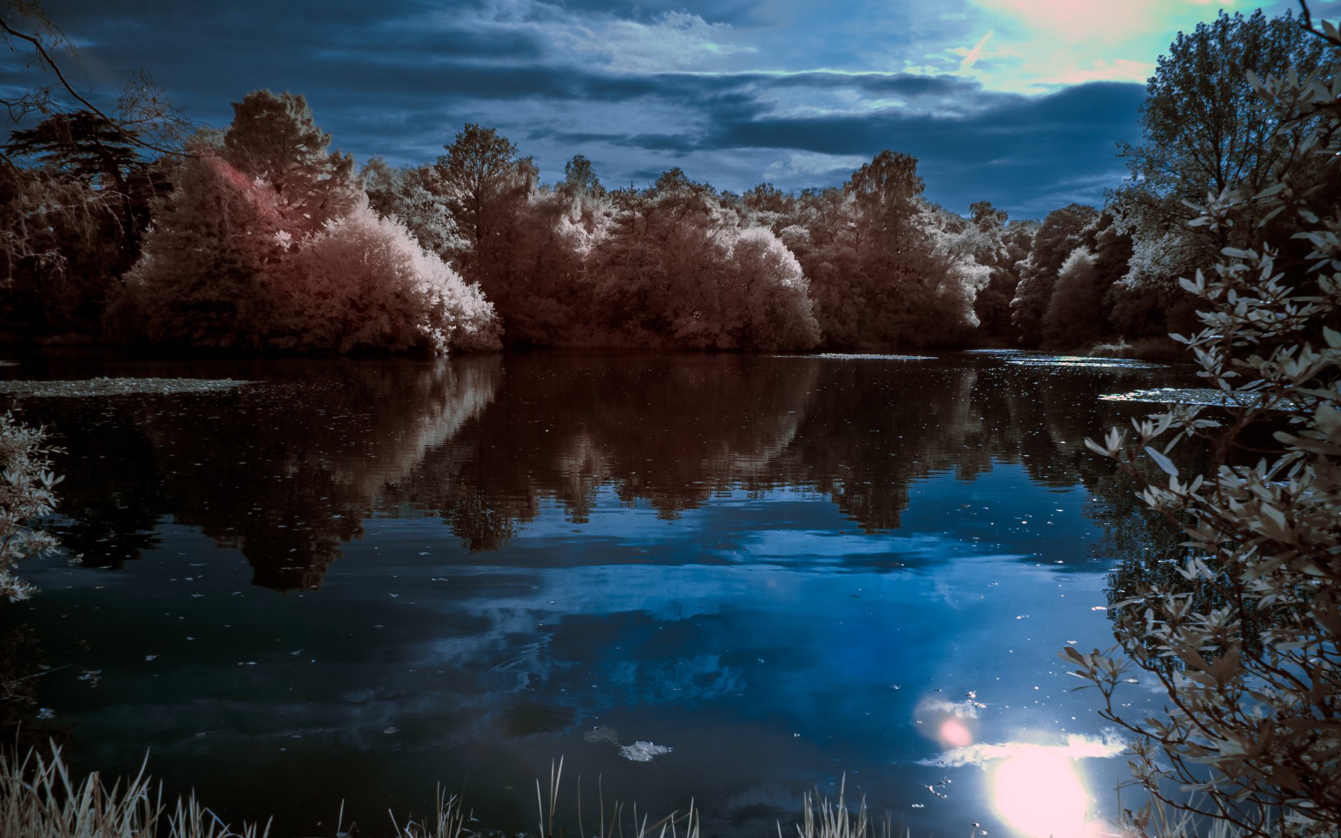 4K Ultra HD Mirror Lake — Tree Reflections Wallpaper by Les W Allen ...