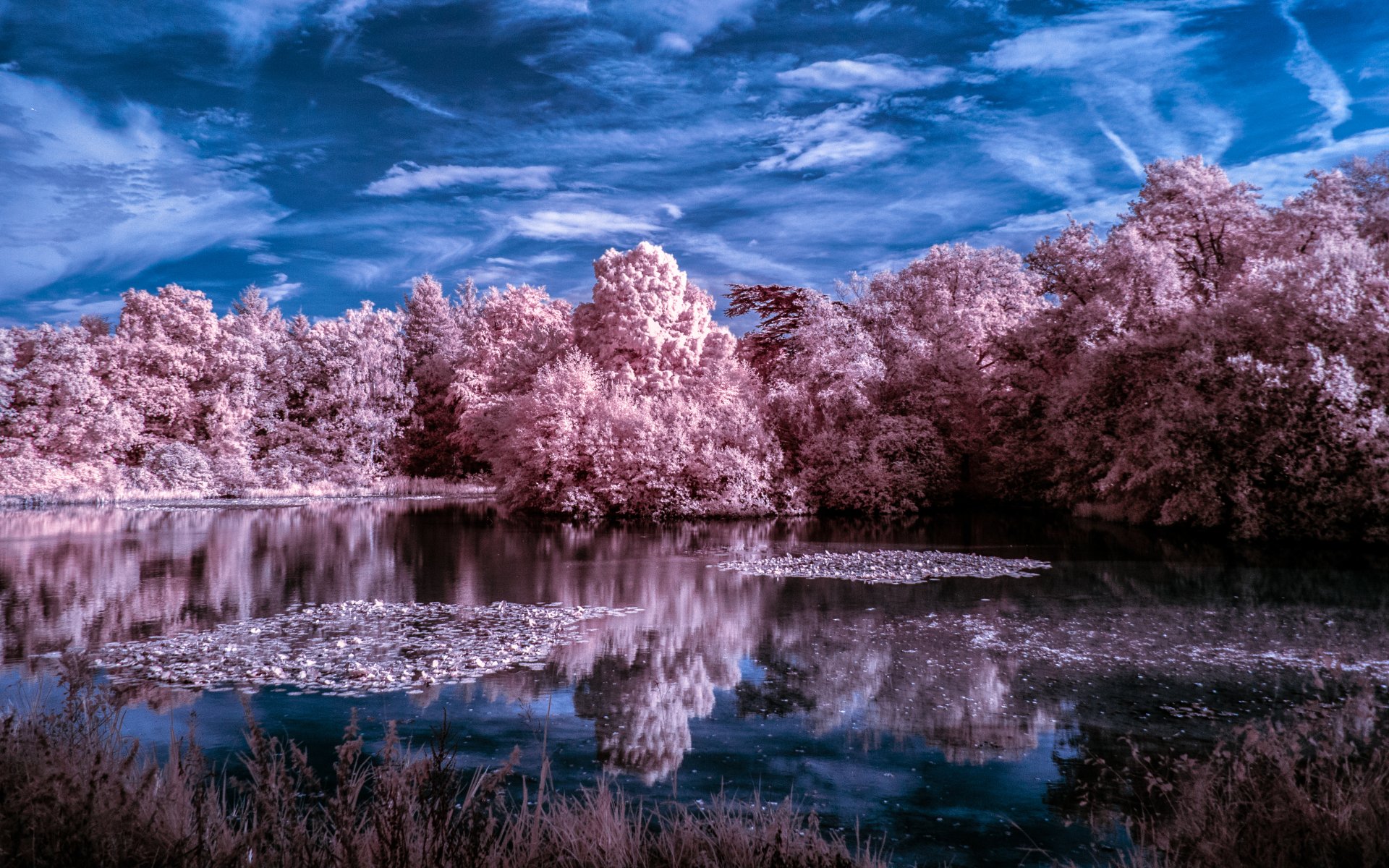 A serene landscape featuring a tranquil lake surrounded by trees, reflecting a vibrant sky and foliage in stunning 4K Ultra HD, capturing the essence of nature.