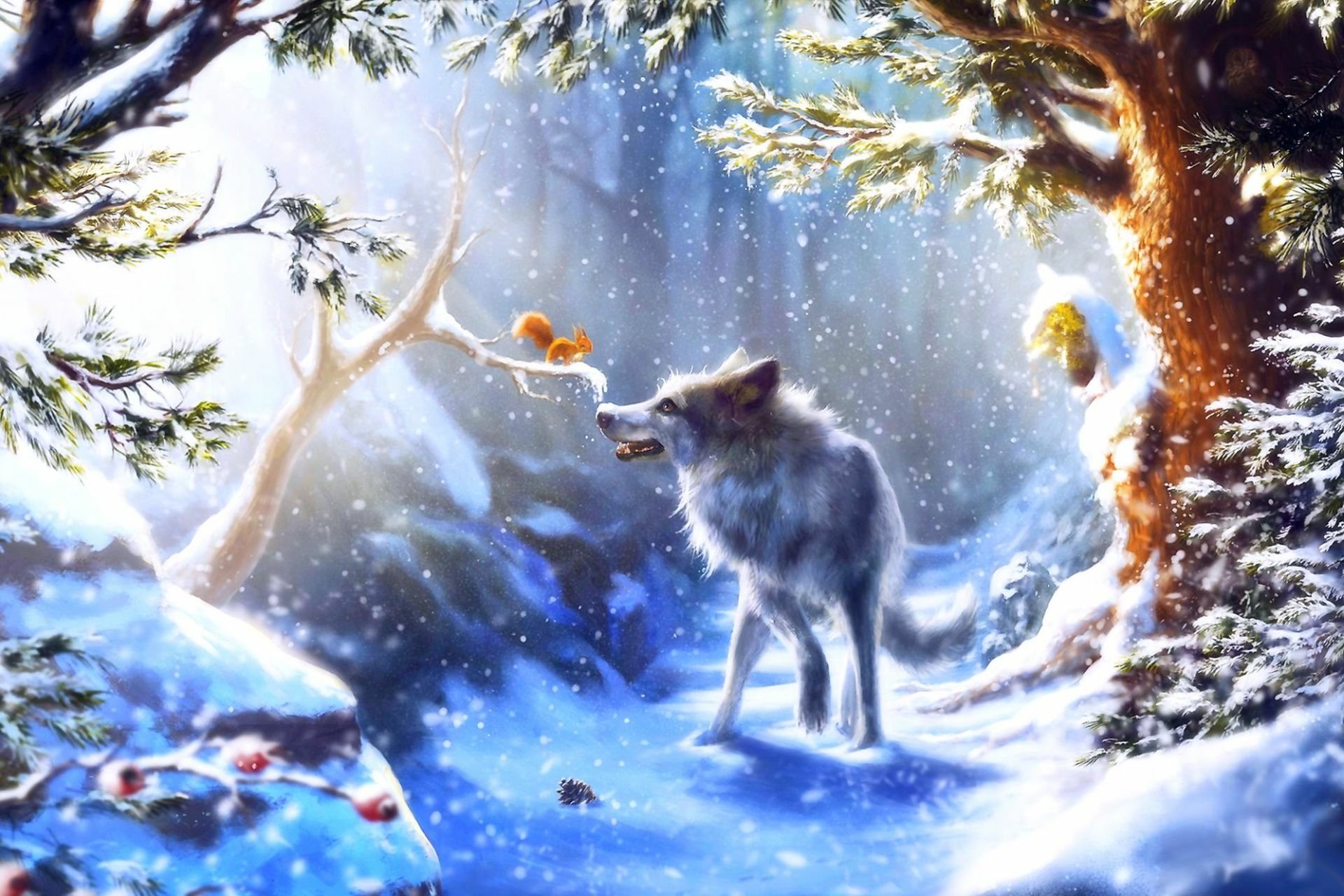Wolf Full HD Wallpaper and Hintergrund | 1920x1280 | ID:592881
