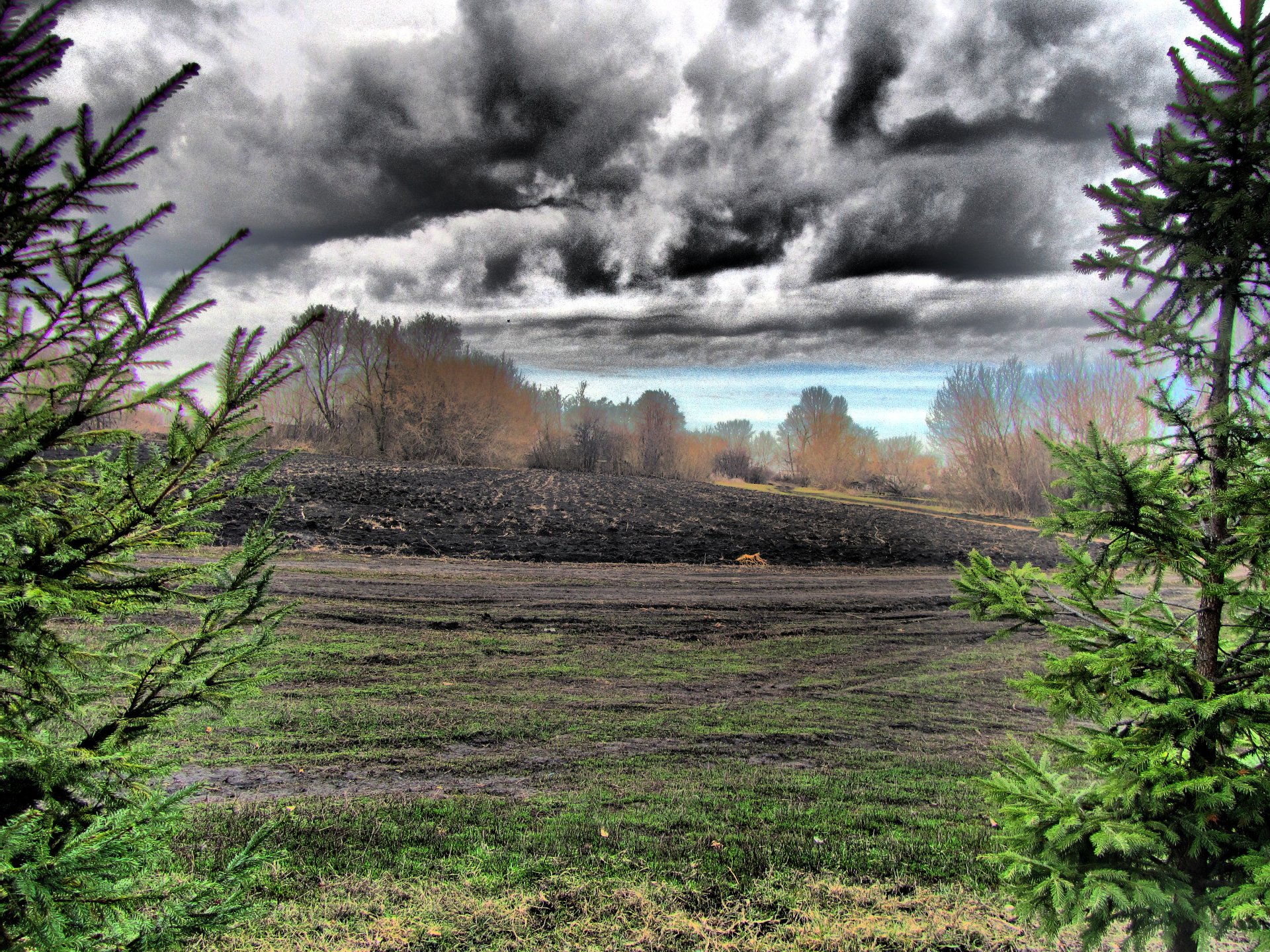 HDR photography showcasing a dramatic landscape with dark stormy clouds, trees framing the scene, rendered in vibrant detail for a 4K Ultra HD PC desktop wallpaper and background.
