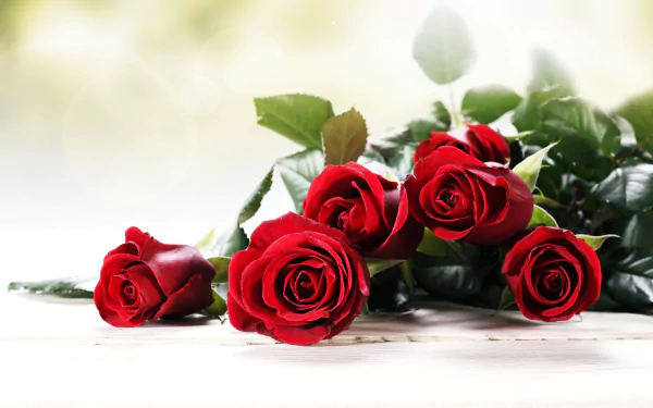A vibrant bouquet of red roses with lush green leaves, captured in stunning 4K Ultra HD, symbolizing love and the beauty of nature.