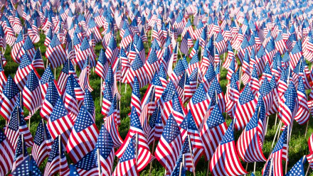 A vibrant 4K Ultra HD Memorial Day desktop wallpaper featuring a sea of small American flags densely planted on green grass.