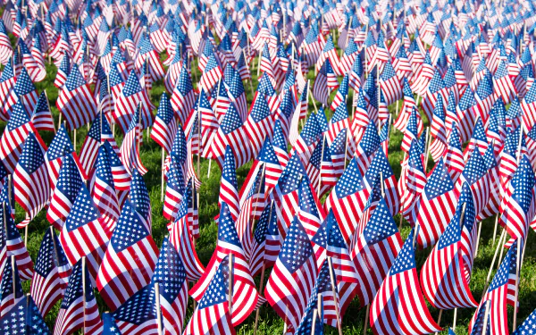 A vibrant 4K Ultra HD Memorial Day desktop wallpaper featuring a sea of small American flags densely planted on green grass.