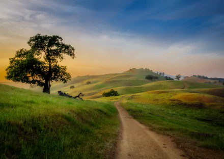 A scenic spring landscape featuring a winding path through lush green hills, with a solitary tree under a vibrant sky, captured in stunning 4K Ultra HD.