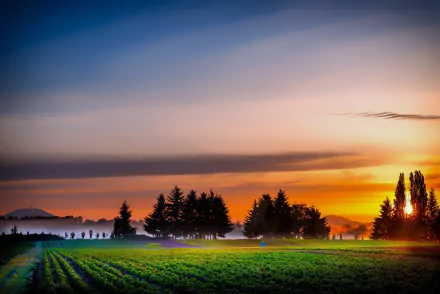 Sunrise over a lush green field in Pakistan, framed by trees and a misty landscape, captured in vibrant 4K Ultra HD for a stunning desktop wallpaper.