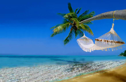 hammock photography beach HD Desktop Wallpaper | Background Image