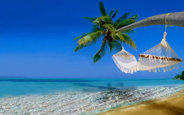 A 4K Ultra HD beach scene featuring a woven hammock tied between palm trees, overlooking clear turquoise waters and golden sand under a bright blue sky.