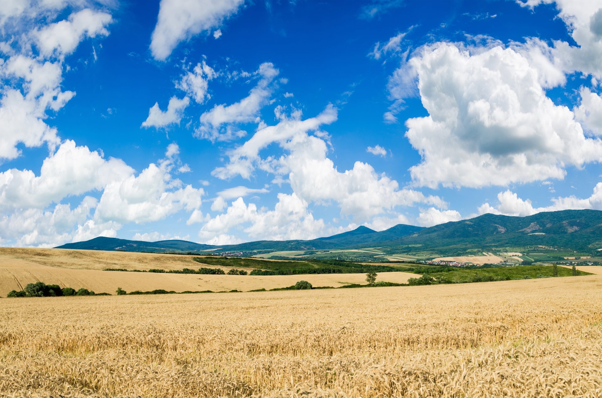 Download Nature Landscape 4k Ultra HD Wallpaper