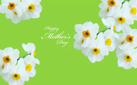 HD PC desktop wallpaper background: Mother's Day holiday image of white daffodils clustered on a bright green field with Happy Mother's Day script.