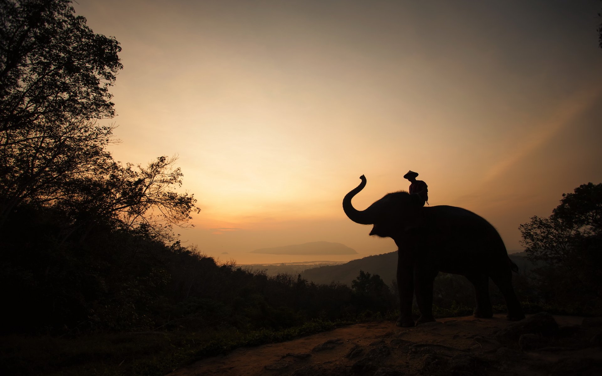 A serene landscape in Thailand features a silhouette of a man on an Asian elephant against a stunning sunset backdrop, creating a captivating and peaceful scene.