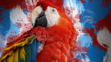Vibrant scarlet macaw close-up against a splashy blue and red abstract background — HD PC desktop wallpaper and background.