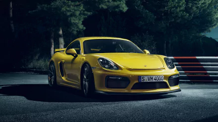 HD desktop wallpaper featuring a sleek yellow Porsche Cayman GT4 parked on a dark road, showcasing the car's sporty design and vibrant color.