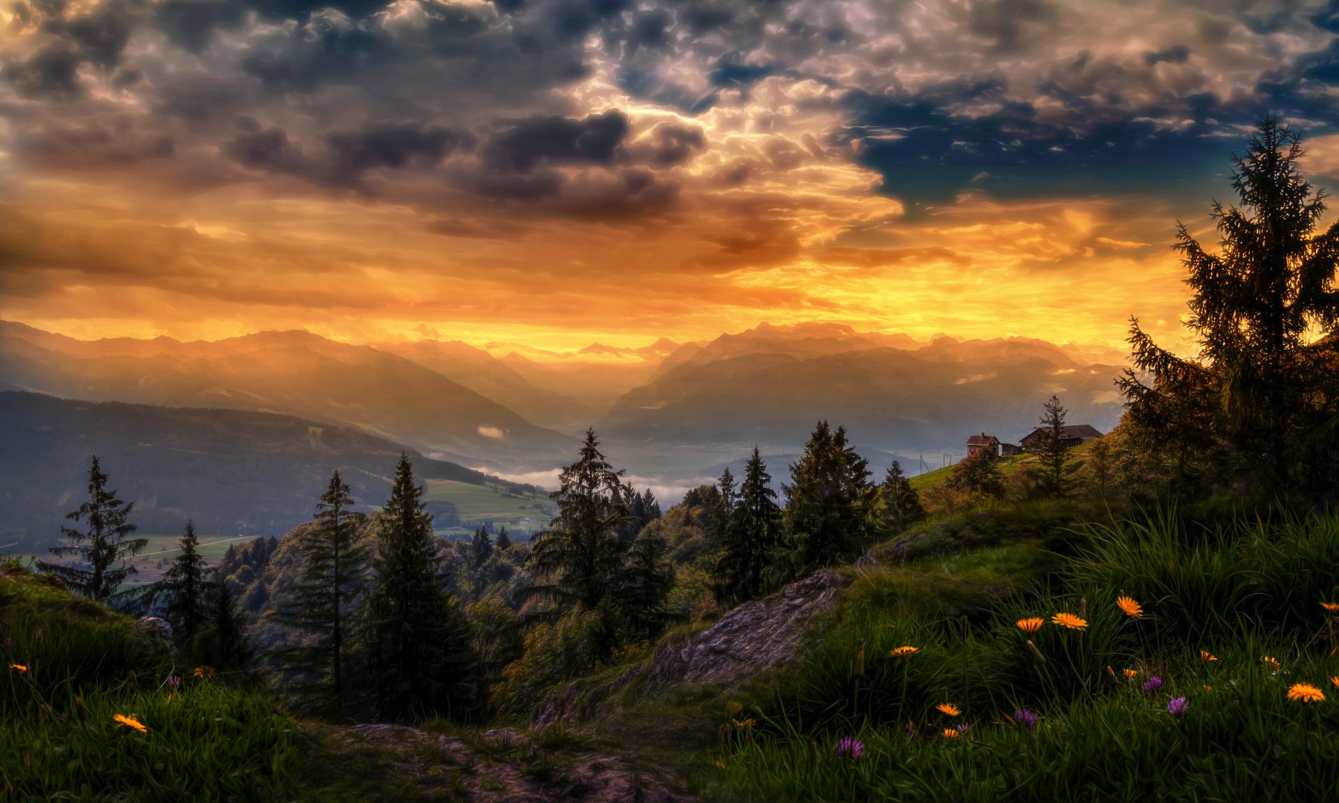 Download Tree Flower Valley Switzerland Mountain Countryside Landscape ...