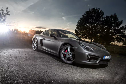 silver car car Porsche Porsche Cayman vehicle Porsche Cayman S HD Desktop Wallpaper | Background Image