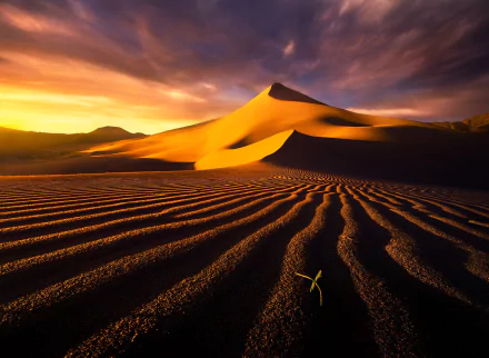 A stunning view of Death Valley's sand dunes at sunset, capturing the natural beauty of California's desert landscape with intricate patterns in the foreground.