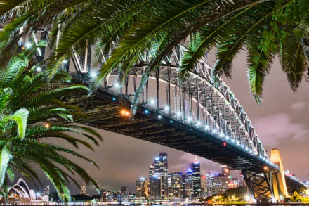 A stunning view of the Sydney Harbour Bridge framed by palm trees, showcasing the vibrant cityscape of Sydney, Australia, under a night sky.