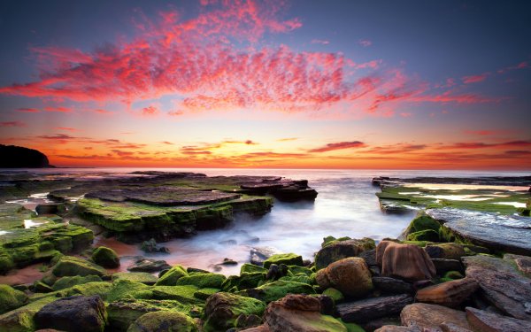 Earth Seascape Nature Ocean Rock Moss Sunset HD Wallpaper | Background Image