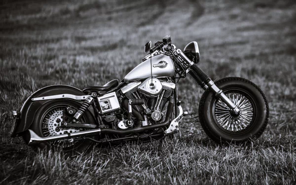 Black and white 4K Ultra HD desktop wallpaper featuring a detailed Harley-Davidson motorcycle parked on grass, highlighting its classic design and chrome accents.