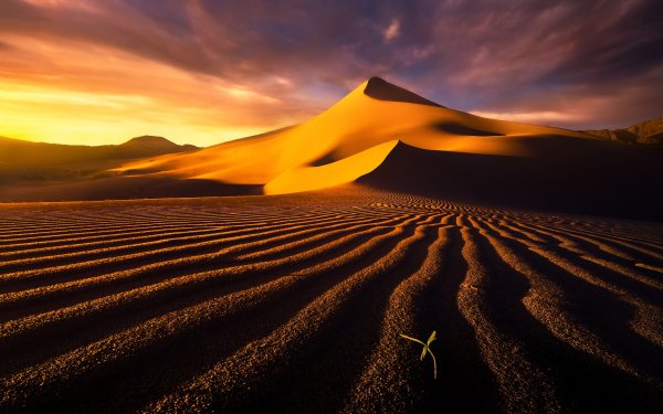 Nature Desert Dune Death Valley California HD Wallpaper | Background Image