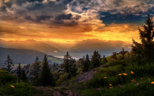 Photography Sunset Cloud Landscape Countryside Mountain Switzerland Valley Flower Tree HD Wallpaper | Background Image