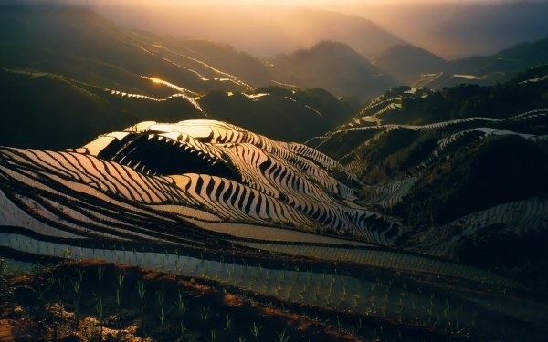 Man Made Rice Terrace Landscape Sunrise Mountain HD Wallpaper | Background Image