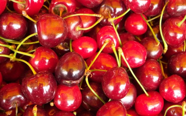 food cherry HD Desktop Wallpaper | Background Image