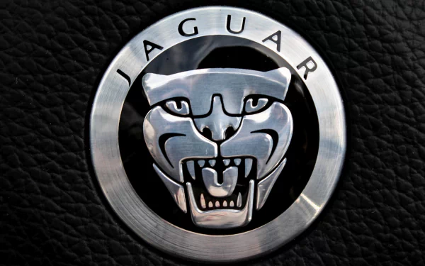 vehicle Jaguar (Car) HD Desktop Wallpaper | Background Image