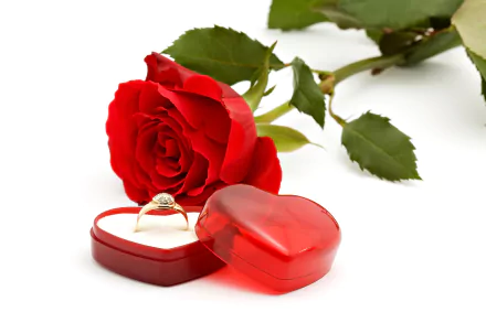A vibrant red rose next to a heart-shaped ring box, showcasing a sparkling engagement ring. This romantic image captures the essence of love in exquisite detail.