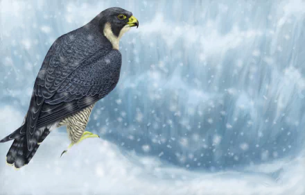 snowfall winter snow bird of prey bird Animal peregrine falcon HD Desktop Wallpaper | Background Image