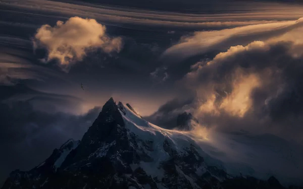 Majestic Patagonia mountain peaks tower beneath dynamic clouds, while a bird soars through the snowy landscape, capturing the serene beauty of nature in this stunning HD wallpaper.