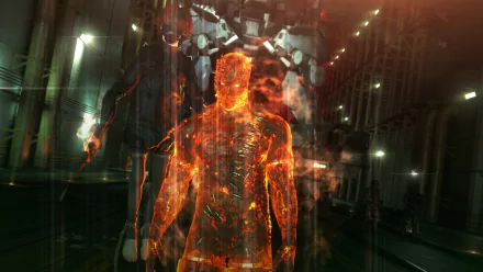  Phantoms