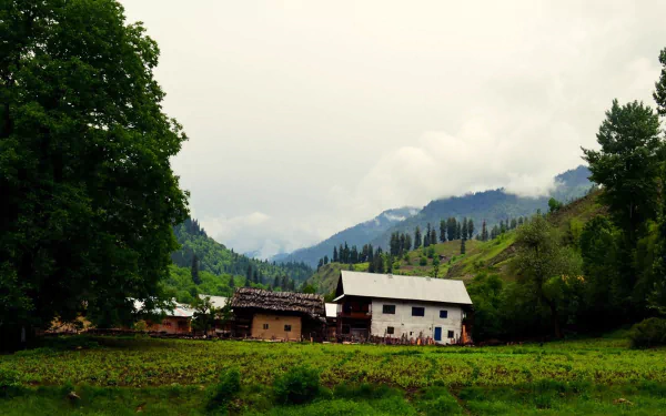  Village - Kashmir