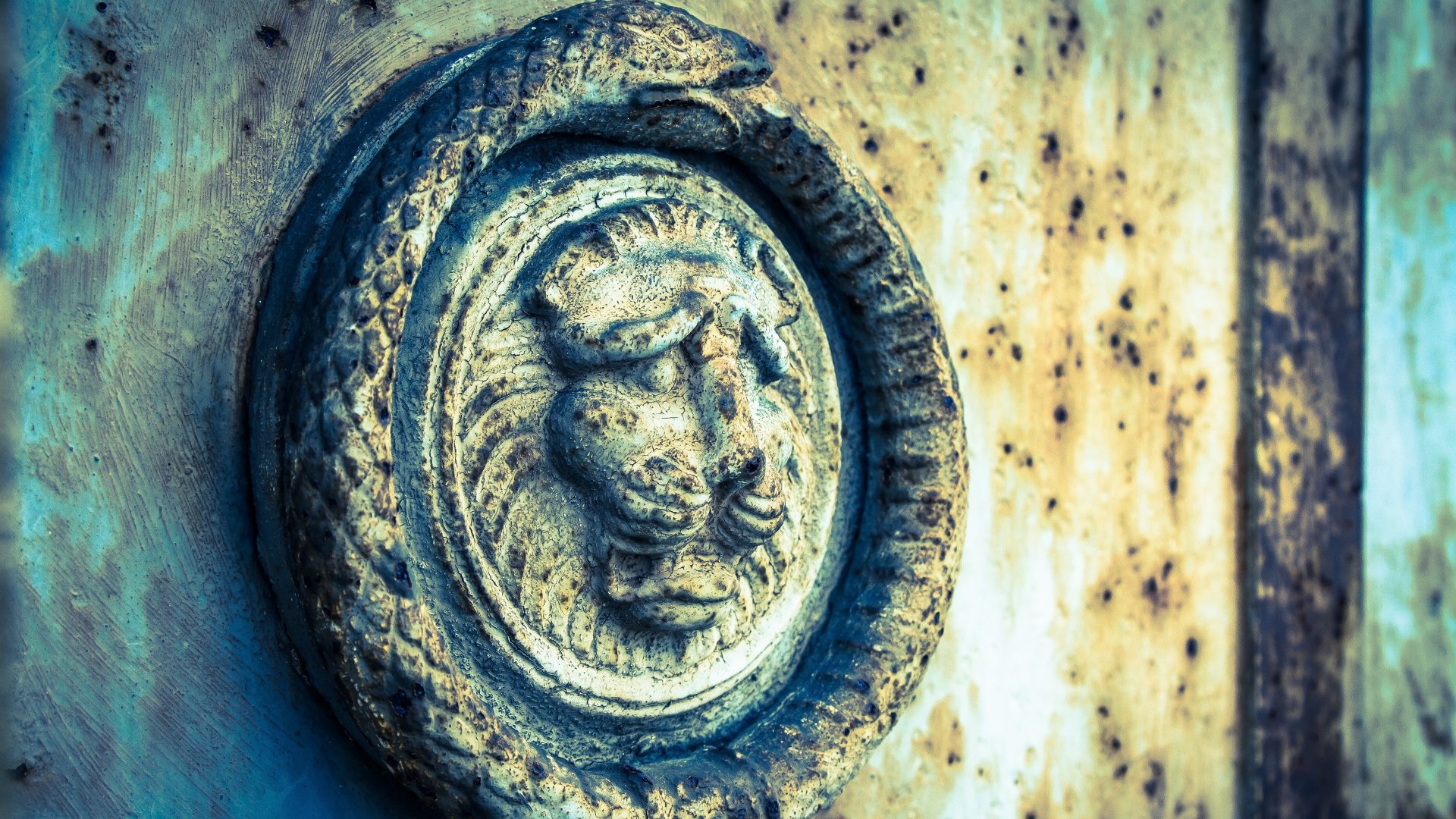 4K Ultra HD fantasy desktop wallpaper depicting an ancient ouroboros encircling a lion's head emblem on a weathered, textured surface.