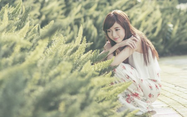 Femmes Asiatique Top Model Oriental Brune Dress Brown Eyes Outdoor Plante Fond d'écran HD | Image