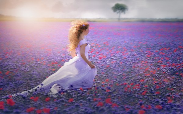 Women Bride Field Flower Red Flower Purple Flower Wedding Dress Redhead Bokeh Outdoor HD Wallpaper | Background Image