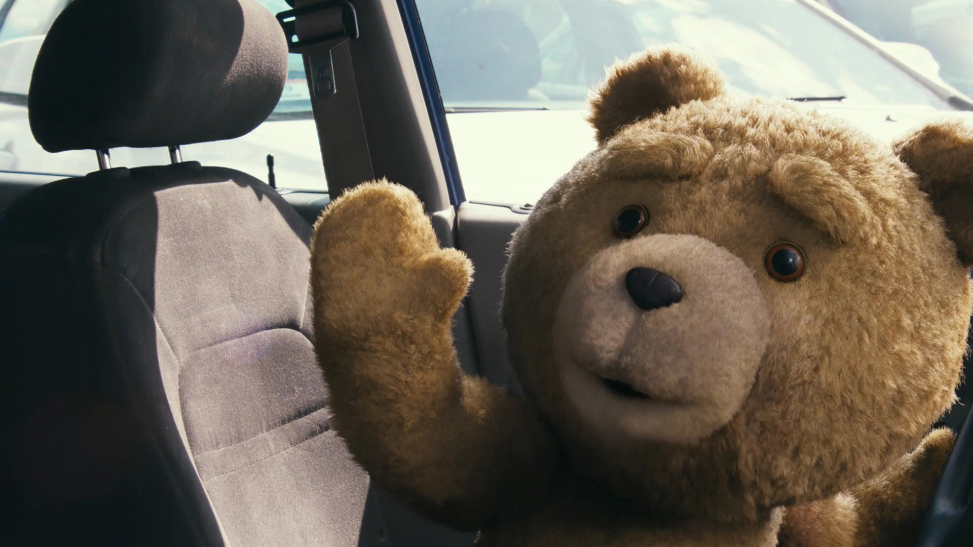 Movie Ted HD Wallpaper | Background Image