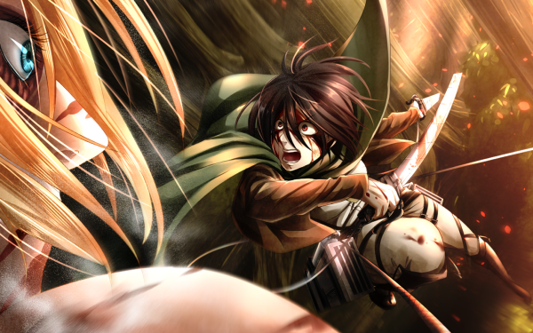 Anime Attack On Titan Mikasa Ackerman Annie Leonhart HD Wallpaper | Background Image