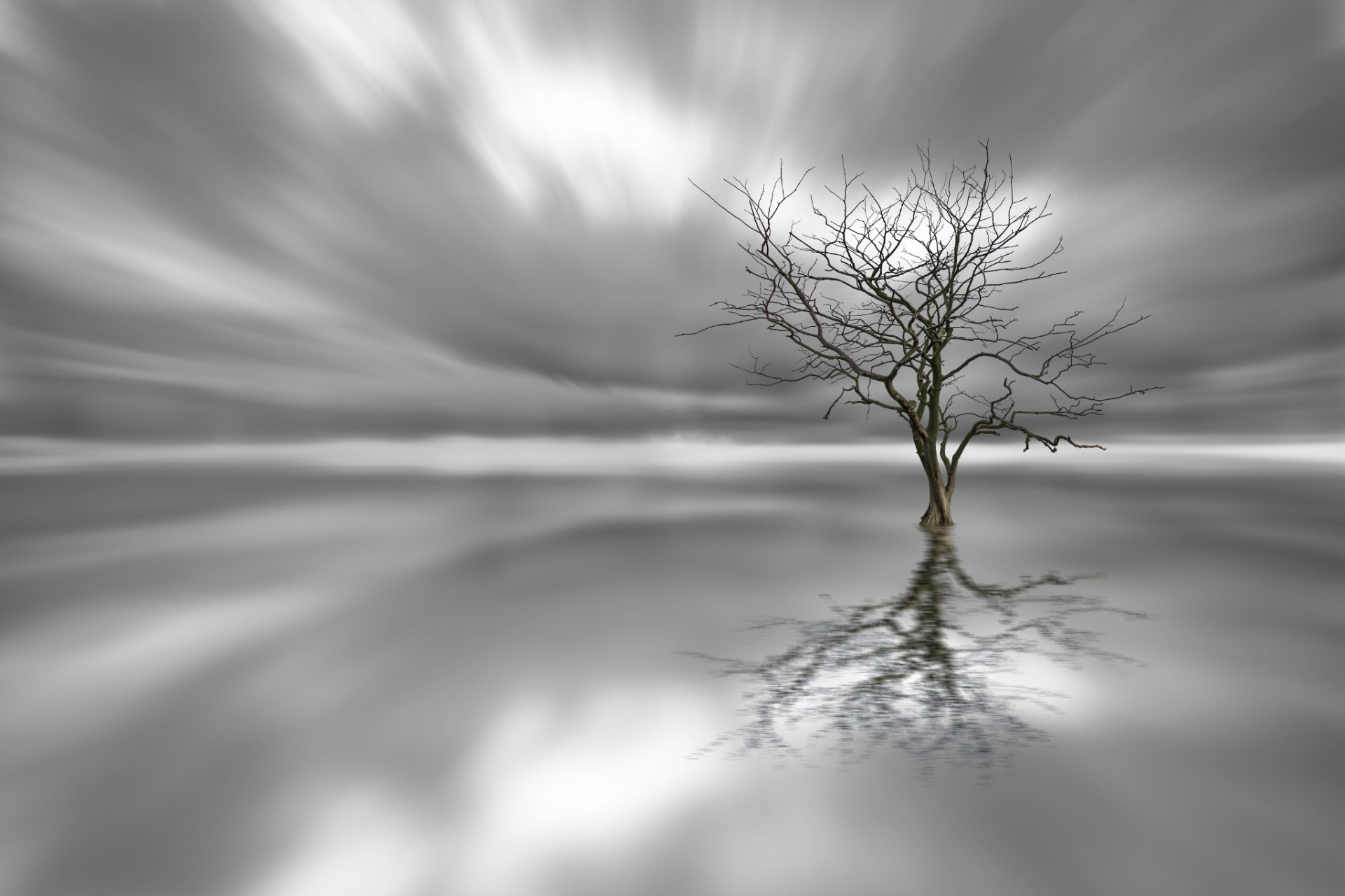 Black and white HD desktop wallpaper featuring a solitary tree standing in calm water, its reflection mirrored beneath a cloudy sky, capturing serene nature beauty.