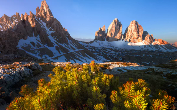 Stunning view of the snow-covered Tre Cime di Lavaredo mountains in the Dolomites, Italy, showcasing vibrant nature against a dramatic cliffside landscape.