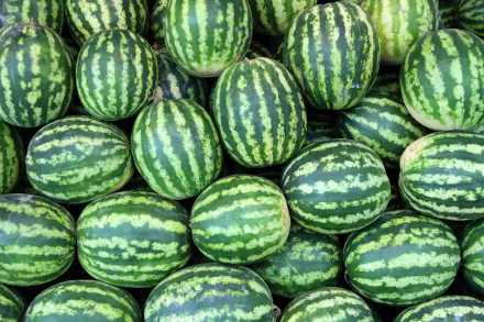 HD PC desktop wallpaper featuring a vibrant close-up of fresh, green-striped watermelons stacked together, highlighting the texture and color of the food.
