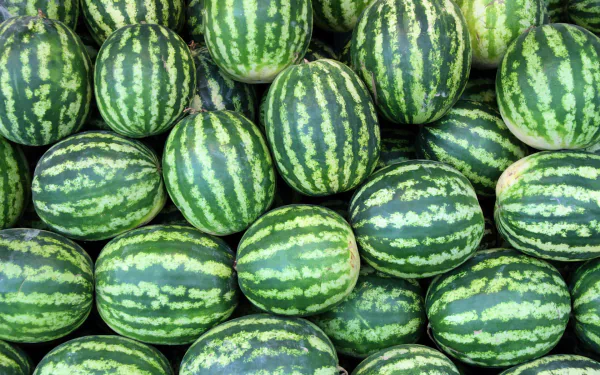 HD PC desktop wallpaper featuring a vibrant close-up of fresh, green-striped watermelons stacked together, highlighting the texture and color of the food.