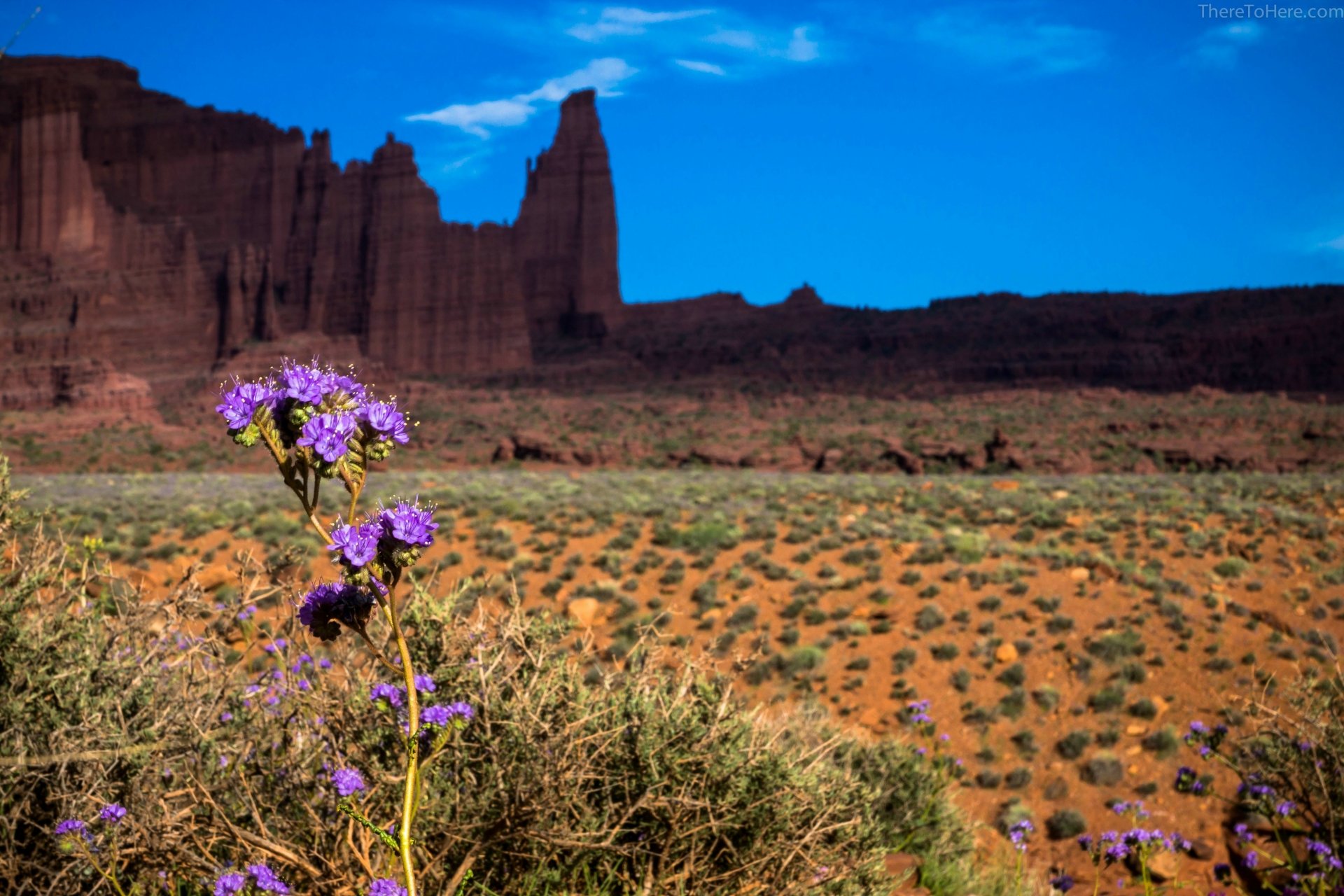 Download Nature Desert 4k Ultra HD Wallpaper